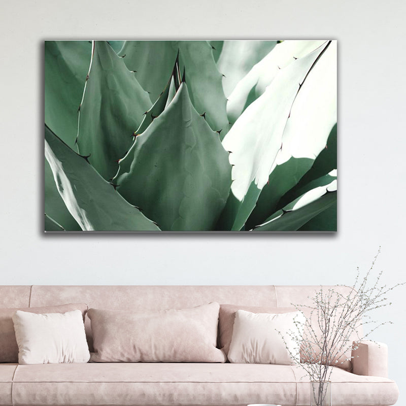 ALOE VERA freeshipping - Wall Agenda