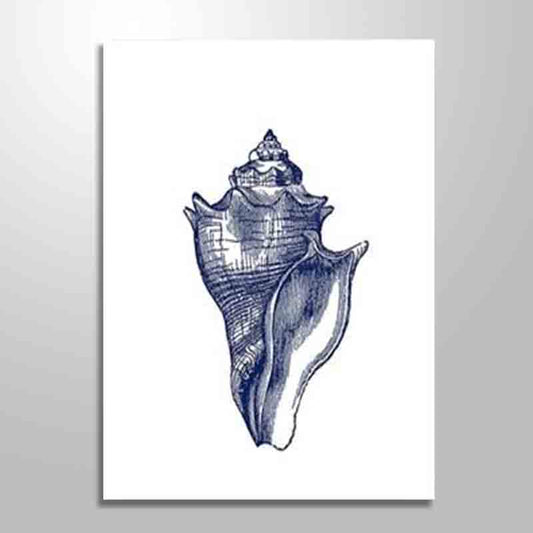 CONCH SHELL freeshipping - Wall Agenda