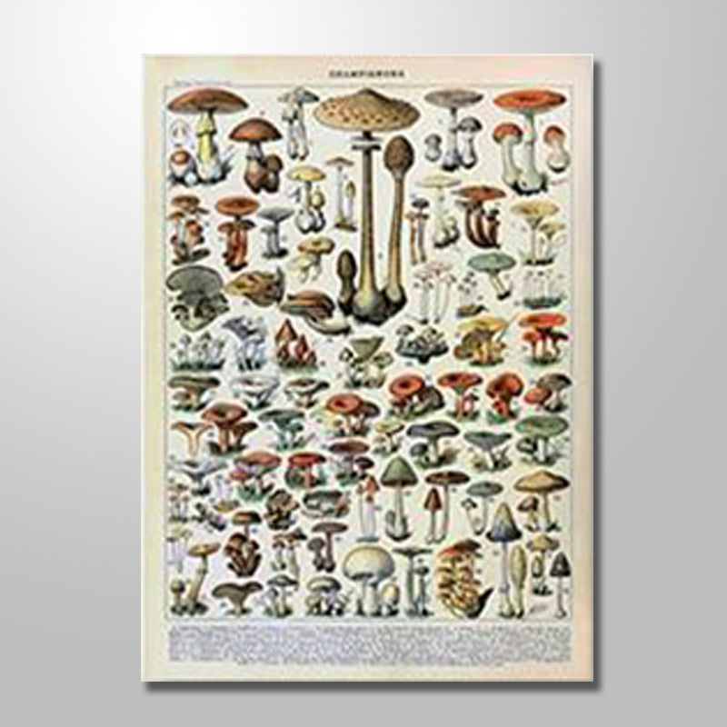 MUSHROOMS mywallspace  13.99 Wall Agenda