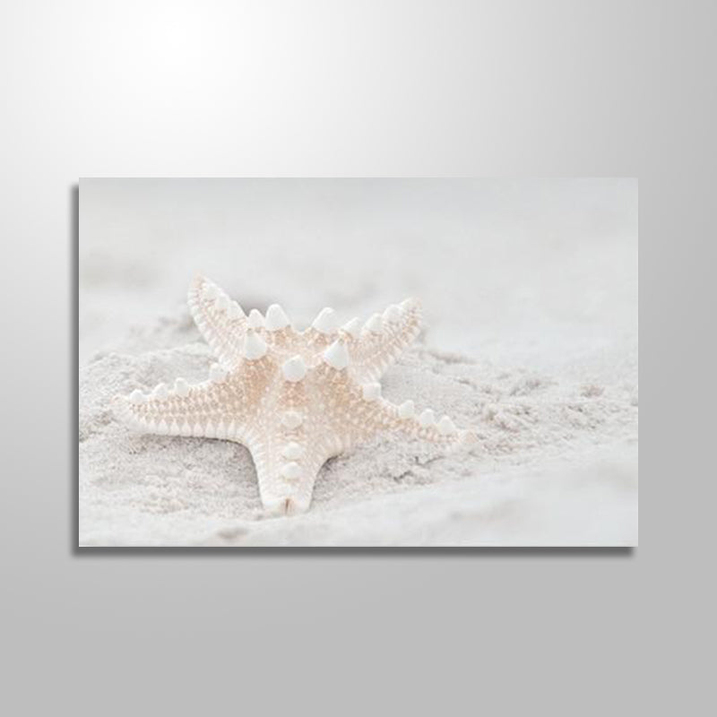 NEW STARFISH freeshipping - Wall Agenda