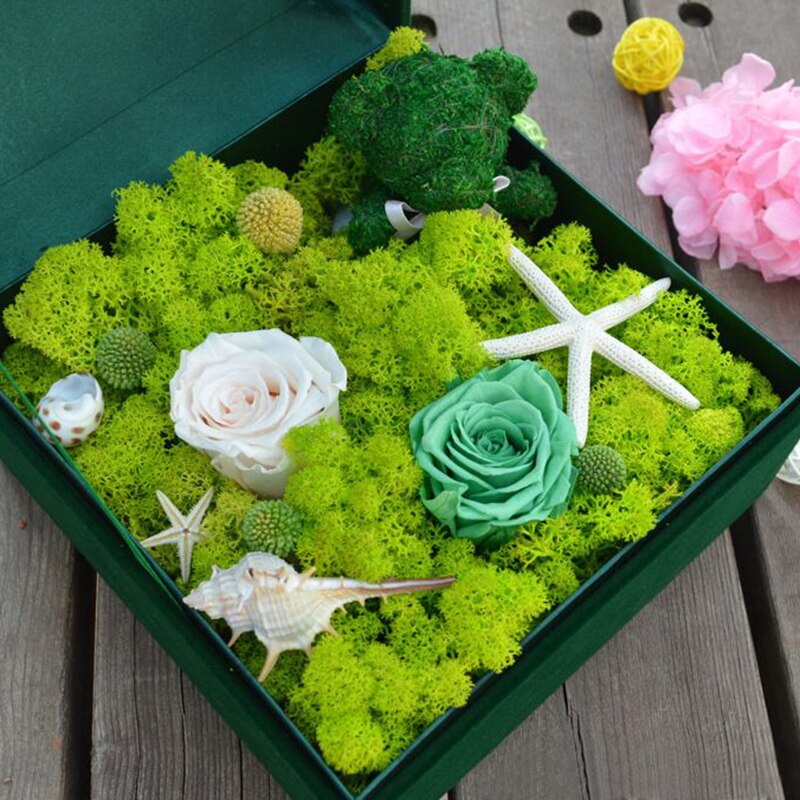 High Quality Artificial Green Plant Immortal Fake Flower Moss Grass Home Living Room Decorative Wall DIY Flower Mini Accessories