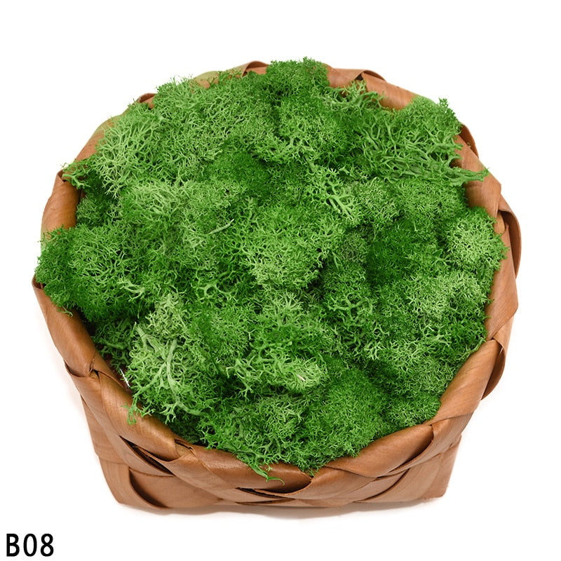 High Quality Artificial Green Plant Immortal Fake Flower Moss Grass Home Living Room Decorative Wall DIY Flower Mini Accessories