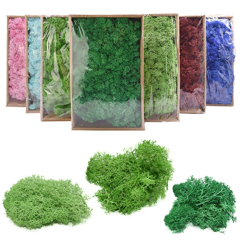 High Quality Artificial Green Plant Immortal Fake Flower Moss Grass Home Living Room Decorative Wall DIY Flower Mini Accessories