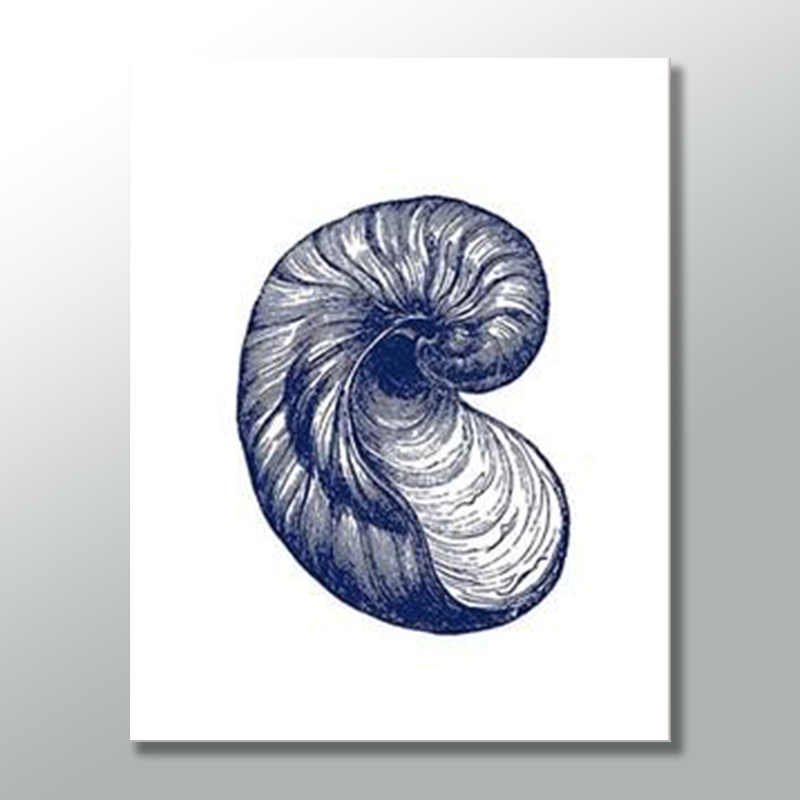 SNAIL SHELL freeshipping - Wall Agenda