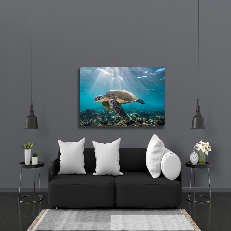 SEA TURTLE freeshipping - Wall Agenda