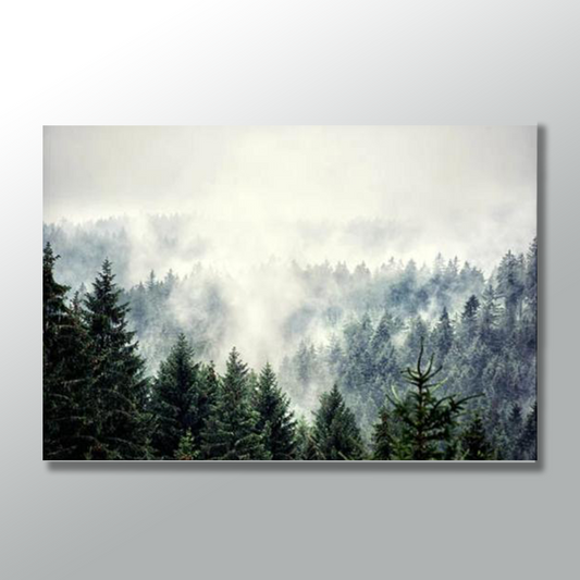 FOREST FOG SCENERY freeshipping - Wall Agenda