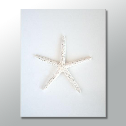 STARFISH freeshipping - Wall Agenda