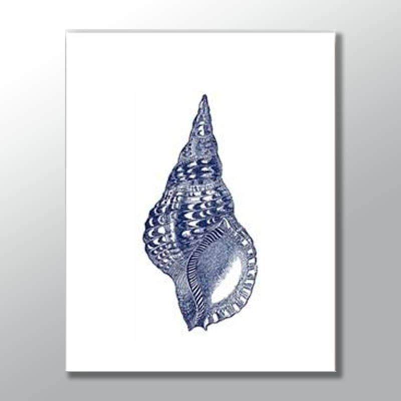 SEA SHELL freeshipping - Wall Agenda