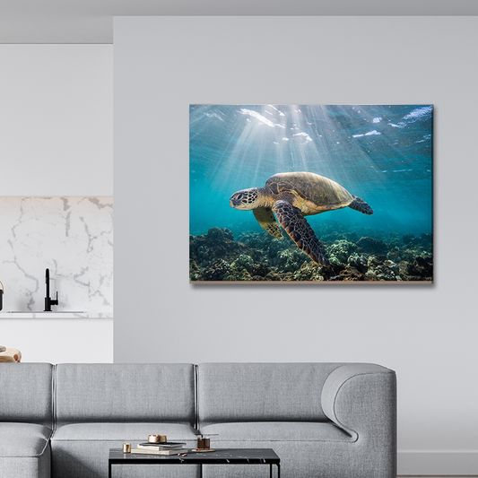 SEA TURTLE freeshipping - Wall Agenda